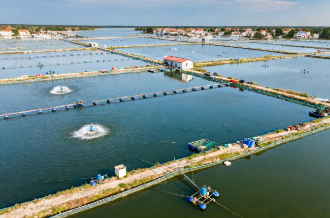 如何快速檢測(cè)水產(chǎn)品抗生素殘留？萊恩德LD-SK抗生素檢測(cè)儀操作指南